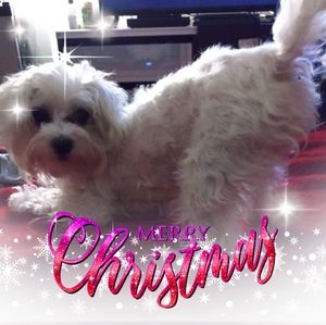 Meet your Posher, Dao